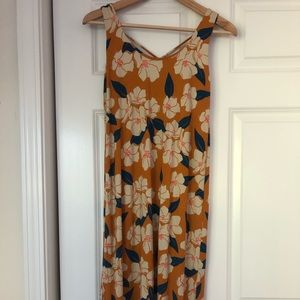 Fighting Eel Dress Primo XS